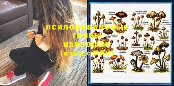 прущие грибы Алексин