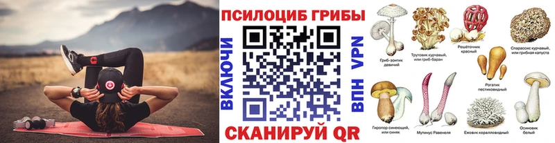 Галлюциногенные грибы прущие грибы  Купить  Петропавловск-Камчатский 